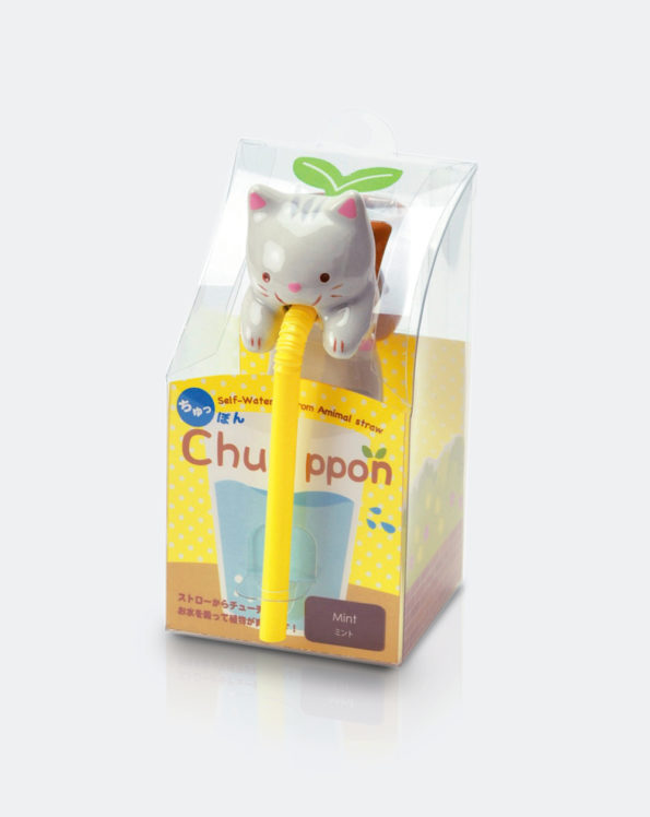Chuppon Cat | Mint