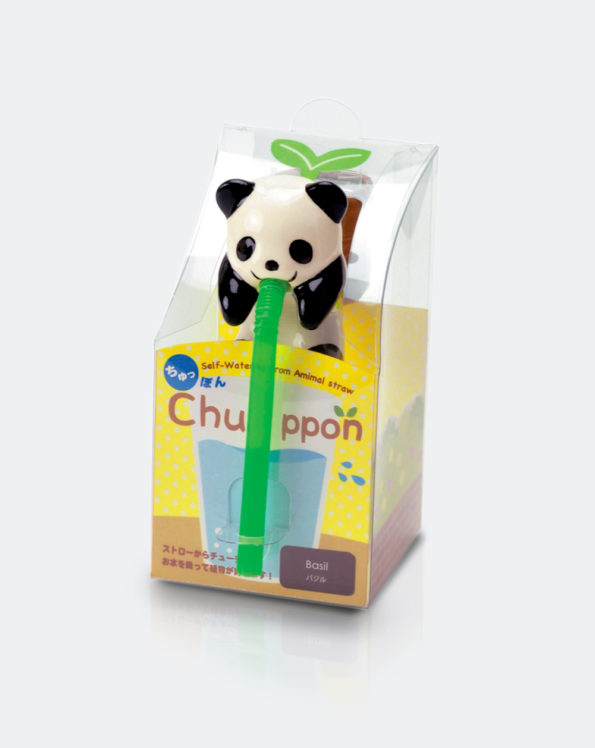 Panda Chuppon Süßer Basilikum 