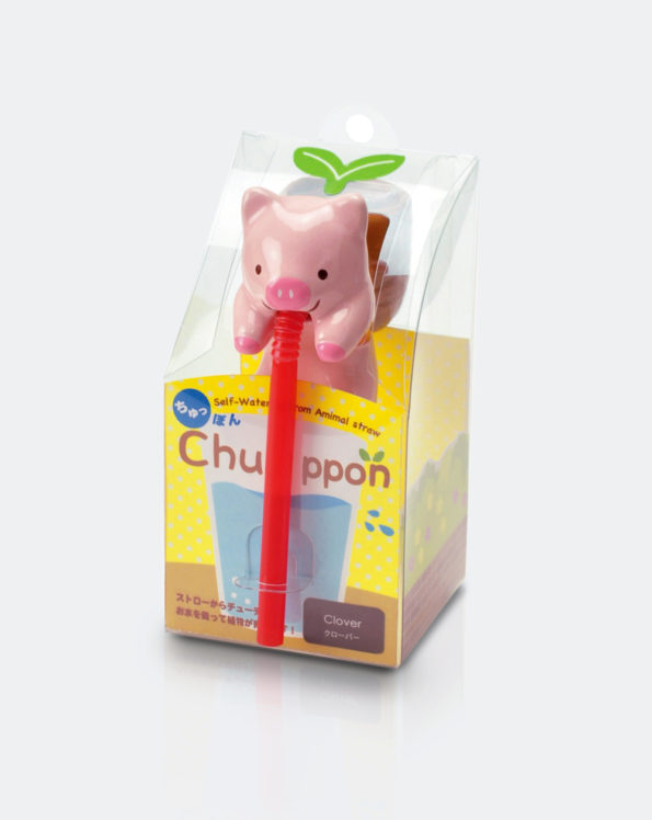 Chuppon  Pig | Clover
