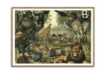 2910h_white_with_frame_web_1024x1024