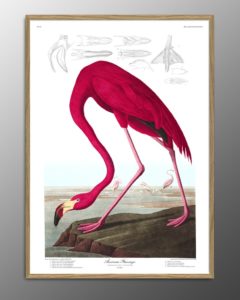 flamingo-print